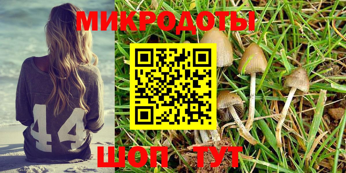 Галлюциногенные грибы GOLDEN TEACHER  Вход с VPN  купить наркотик  Елабуга 