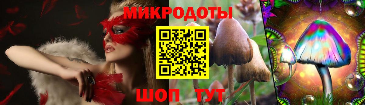 Псилоцибиновые грибы Psilocybe Елабуга